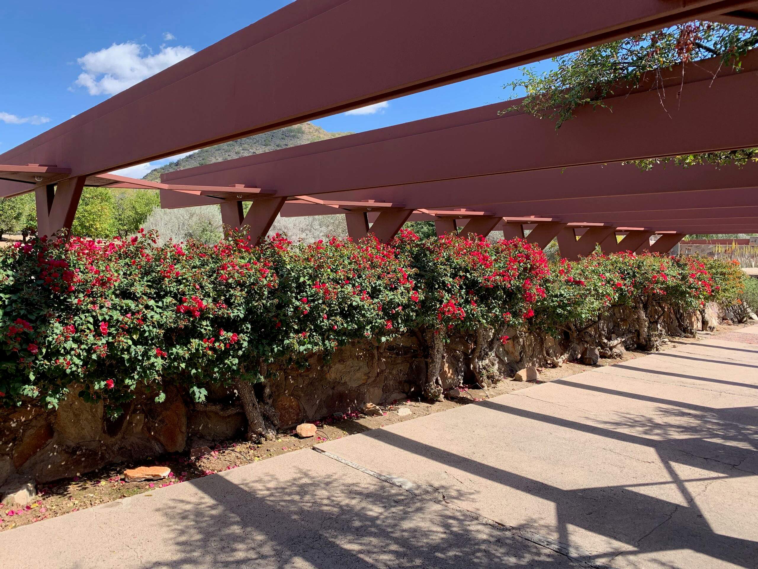 Taliesin West gallery image 10